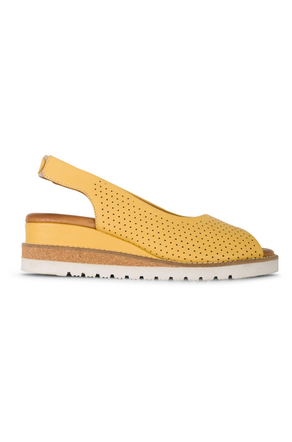 CANTERBURY YY|MUSTARD